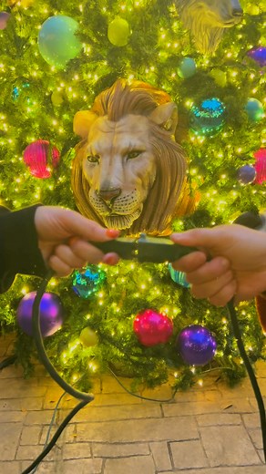 9K views · 80 reactions | Zoo Lights officially starts now. See the holiday magic at TXU Energy presents Zoo Lights now through Jan. 5! | Houston Zoo | Facebook