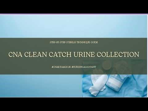 CNA Clean Catch Urine Collection: Step-by-Step Sterile Technique Guide#cnaexam2026 #nursingassistant