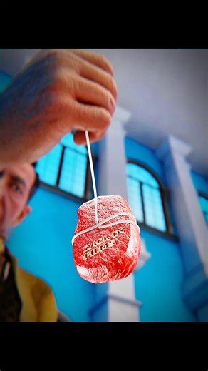 Studying Digestion Through a Stomach Hole