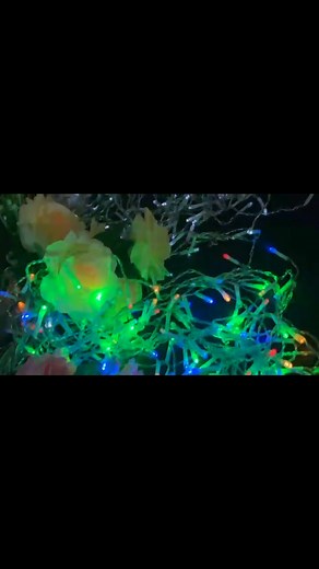 Brighten your home and Christmas tree with SOS solar lights! Don’t miss our Pre-Xmas sale! | SOS LTD-Samoa