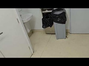 Petco Men's Restroom in Costa Mesa, CA