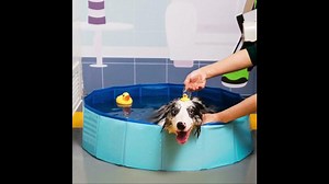Foldable Dog Pool Pet Bath Summer Outdoor Portable Swimming Pools Indoor Wash Bathing Tub Collap...