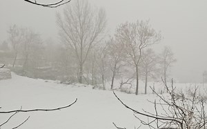 走向极简，告别臃肿，在电脑不安装wps的情况下在电脑上使用wps