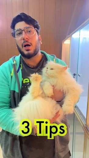 3 Tips to help your Cat live a long and healthy Life. #cats #kitten #catsoftiktok #meow #catlife #catlover