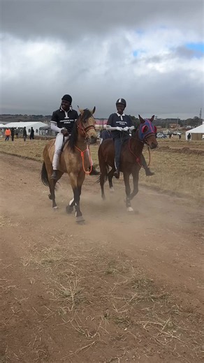 msab’ungamazi x volovolo maskandi collaboration
