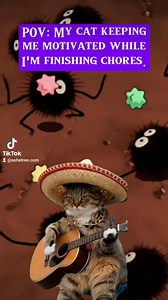 93K views · 2.4K reactions | The tunes.  #fyp #trending | Ashe Tree | Facebook