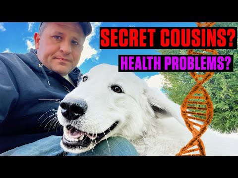 Getting the results of my dog's DNA test