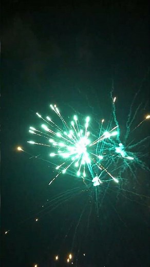 Froot Loops 25 Shot Firework X2