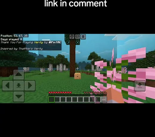 Verity mob Minecraft Bedrock: how to activate Verity mod