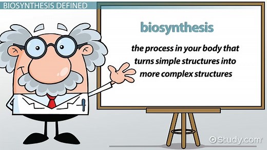Biosynthesis Definition, Reactions & Examples