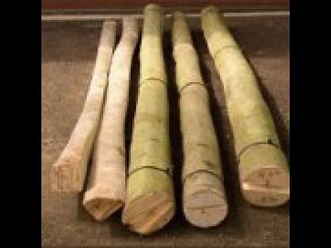 Vine Maple bow part 1