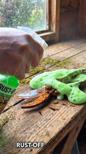 100 Years of Rust Removed From These Pruning Shears! 😱 Satisfying #rustremoval #restoration #shorts