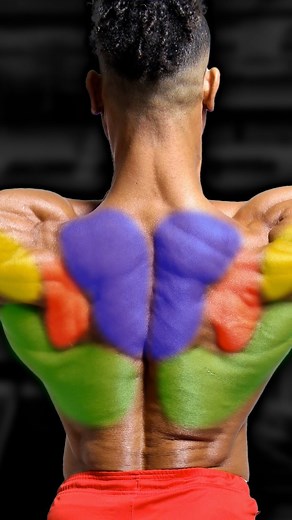 7.6K views · 740 reactions | For a stronger, thicker back - Seated...