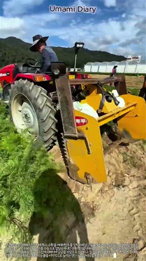 트랙터 수확용 어태치먼트를 활용한 당근 굴착 및 수확 기술 #technique #equipment #carrot #farming #agriculture