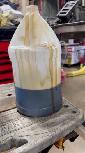 What does 7 quarts look like ? | Jeff Buckley