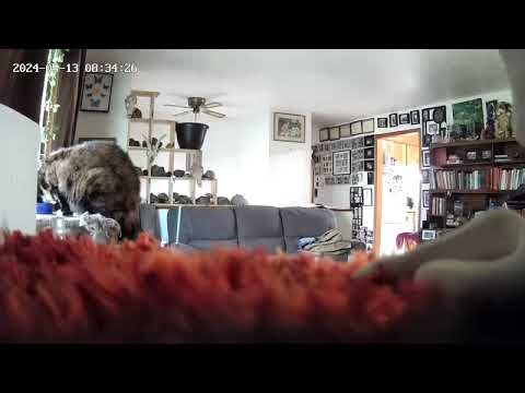 Teckin Home Security Camera: There's No Writing On It