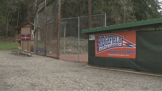 Former Ridgefield Little League treasurer who stole more than $110,000 from league's accounts sentenced
