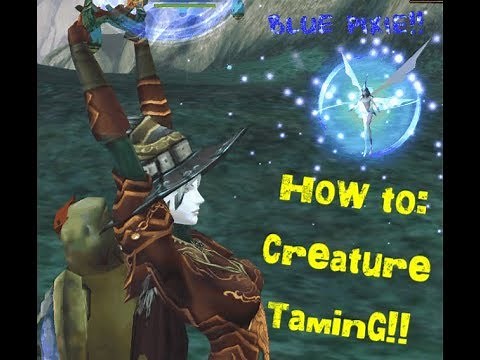 How to Tame Pets in Rappelz : Creature Taming : Rappelz Gameplay