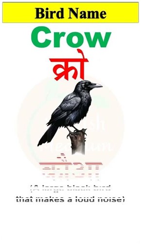 CROW | कौआ का अंग्रेजी | Pronunciation and Hindi meaning of Crow | English words | #shorts