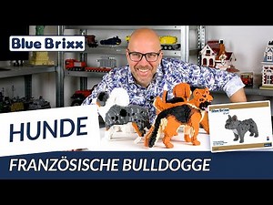 French Bulldog made of Diamond Blocks - BlueBrixx Pro @ BlueBrixx