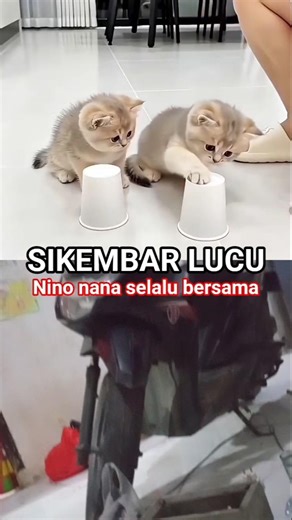 Sikembar Lucu