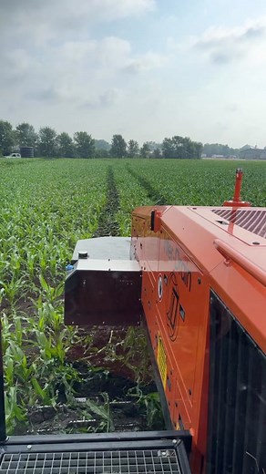 Laying pipe! #layingpipe #draintile #plowing #tiletok #tile #agdrainage