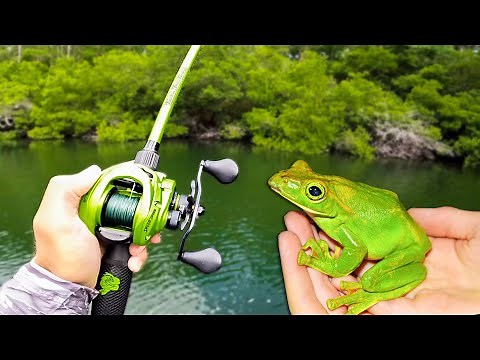 1v1 Topwater Frog ONLY Fishing Tournament!!! (INSANE)