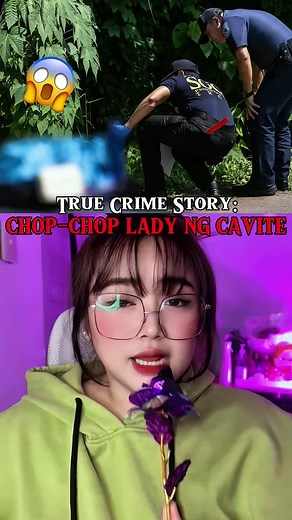 The Elsa Castillo Case: Unraveling a True Crime Story