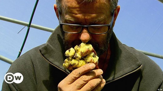 Italy: The struggle between conventional and organic farming