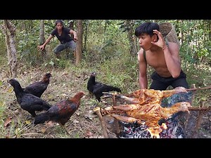 Survival in forest: Catch a lot chicken in jungle with boy - Grilled chicken tasty for Eat with boy