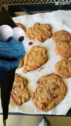 #animalcrossing #australia #cooking #shorts #melodyking #bollywood #ausvind #cricket #music #food