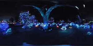 21K views · 385 reactions | If you haven't been to Zoo Lights at...