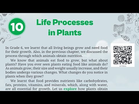 Life Processes in Plants , class 7 science new book chapter 10 complete solution with explanation