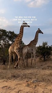 10K reactions · 41 shares | We won’t pay you for the photos, but it...