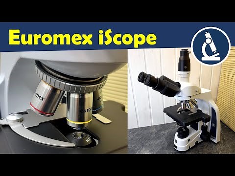 Review of the Euromex iScope Microscope
