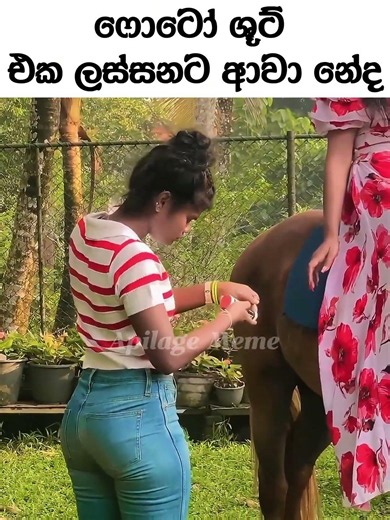 ෆොටෝ ශූට් එක ලස්සනට ආවා නේද 🤣 | Nobody Expected This Photoshoot Fail 😂 #funnyvideos #shorts