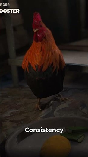 Scrappy Feeding Guide In ARC Raiders #ARCRaiders #Scrappy #FeedingGuide