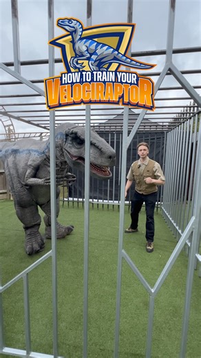 16K views · 44 reactions | Opening 29th of June until 11th of August. FREE SHOWS - How to Train your Velociraptor. Here's what to expect during your visit. Baby Dinosaur welcome 11am at the Theme Park Entrance. How to Train your Velociraptor shows, 12:30, 14:00, 15:30 & 17:00 Keep your eyes out for baby dinosaurs and raptor breakouts throught the day | M&Ds Scotlands Theme Park | Facebook