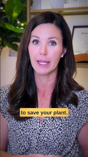 How I saved my fiddle from brown spots