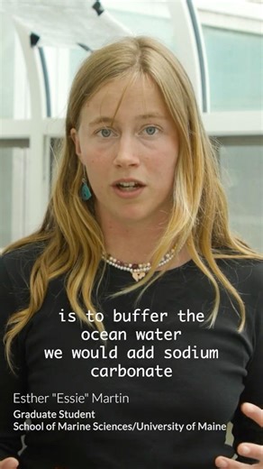 Buffering to save the blue economy