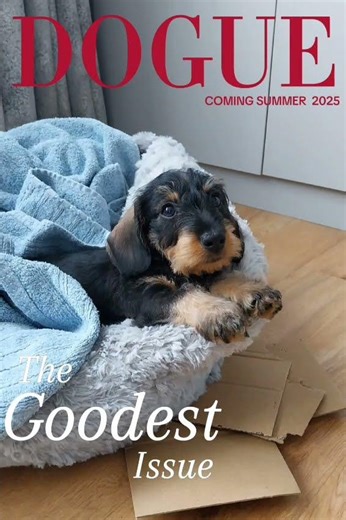 Dogue - the goodest issue, Louis edition