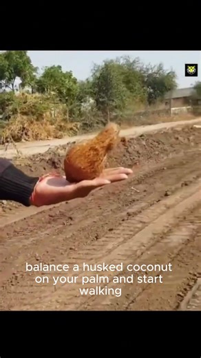 Coconut Water Dowsing: Real or Fake ? 🧐 #viral #trending #mystery #magic