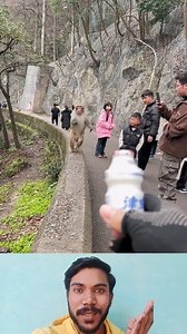 15K views · 94 reactions | How fast is the monkey running? 勞 . . #usamonkey #usafunny #usareels #usavideos #usaviral #monkey #monkeylove #trendingreels | Gyanendra Chaudhary | Facebook