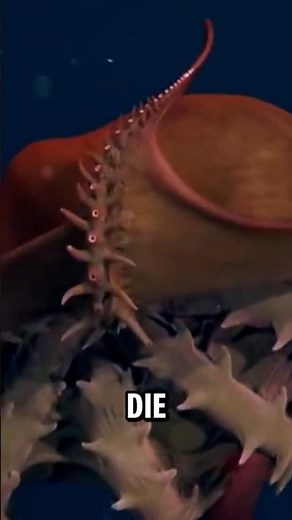 The Vampire Squid: The Scariest Deep-Sea Creature That Doesn't Drink Blood!
