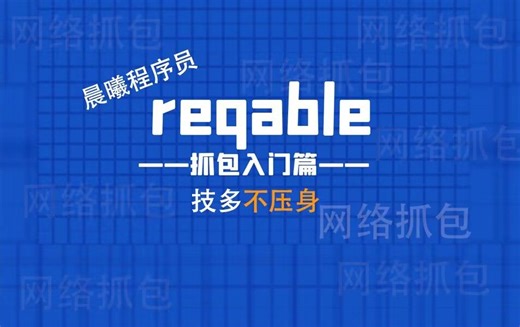 【Reqable抓包第六课】Python代码生成