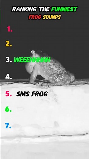 Ranking The Funniest Frog Sounds #frogsounds #animalsounds #funny