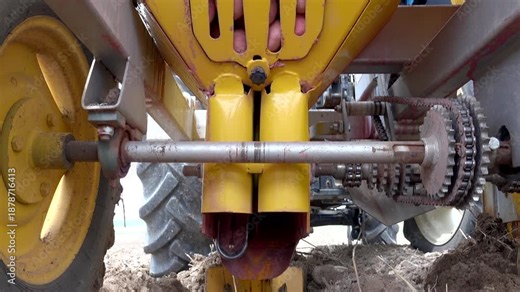 Potato planting machine loads tubers and places seed evenly into soil using automatic agricultural mechanism. Yellow farming equipment shows close view of potato planter system working on cultivated f