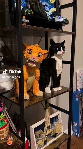 Simba and Tuxedo Cat: A Real-Life Encounter