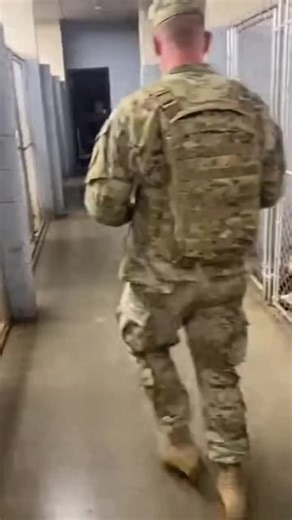 The moment this dog realized who just walked into the shelter... 😭💔 Watch until the end! #fyp #foryou #viral #trending #dog #military #reunion #soldier #rescue #adoptdontshop #emotional #faith