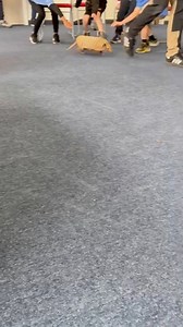 12K views · 524 reactions | Bulldozer the 6 Banded Armadillo...